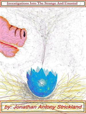 cover image of Investigations Into the Strange and Unusual